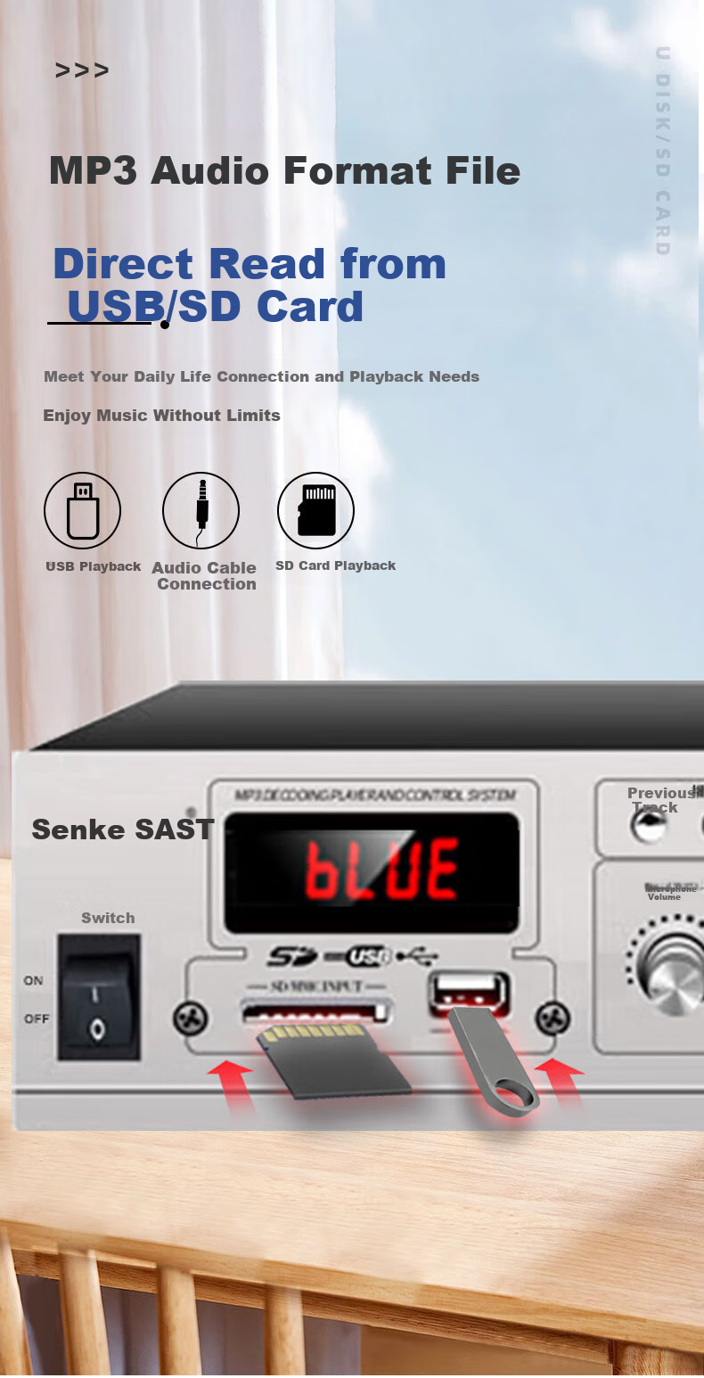 SAST High-Power Bluetooth Constant Voltage Amplifier, Mini Public Speaker, Ceiling-Mounted Sound System, Wall-Mounted Column Speaker, U-Disk, for Shops, Conference Rooms, Home Theater Combination SU-100 6