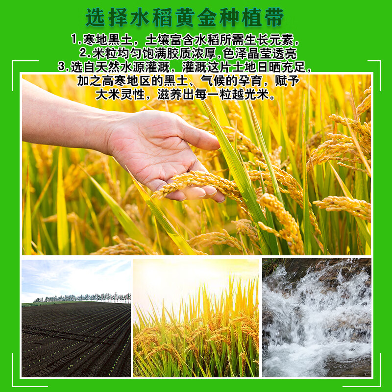 七河源越光米50斤包装内5袋10斤包装 大米25kg装 餐饮批发装 2025年新米