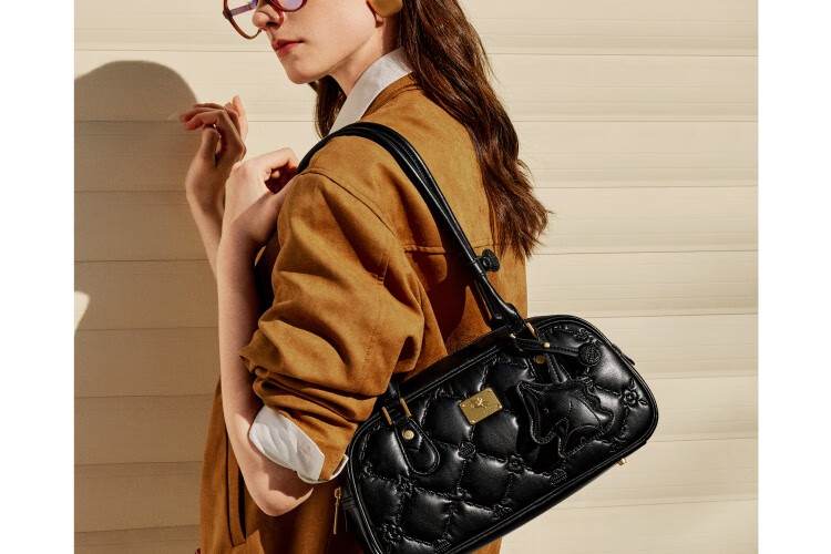 NUCELLE Pegasus Bowling Bag 2026 New Lightweight Luxury Niche Baguette Bag Women's Shoulder Underarm Bag Birthday Gift for Girls 22