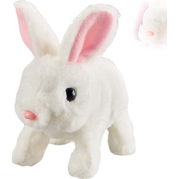 White Image 1