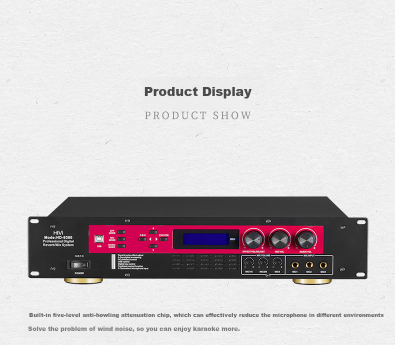 HiVi HD-9300 Karaoke Amplifier, Home Theater KTV Speaker Power Amplifier, High-Fidelity HIFI Integrated Reverb, Anti-Howling 8