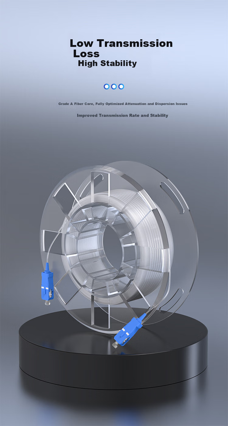 Dashengguang Transparent Invisible Fiber Optic Cable Reel, Single-Mode Single-Core SC-SC, Indoor FTTH Whole-House Networking Fiber Optic Cable, 5 Meters, DSG-GJJV 3