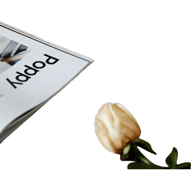 White Image 1