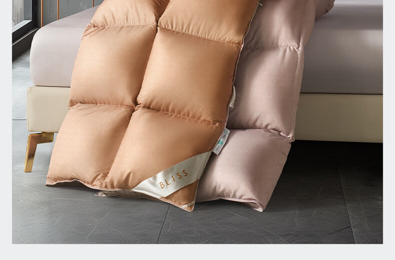 Bellees 90% Duck Down Quilt A-Grade Fabric Antibacterial Autumn Winter Warmth 1000g Filling 13