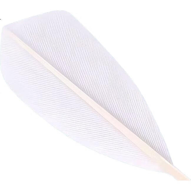 White Image 3