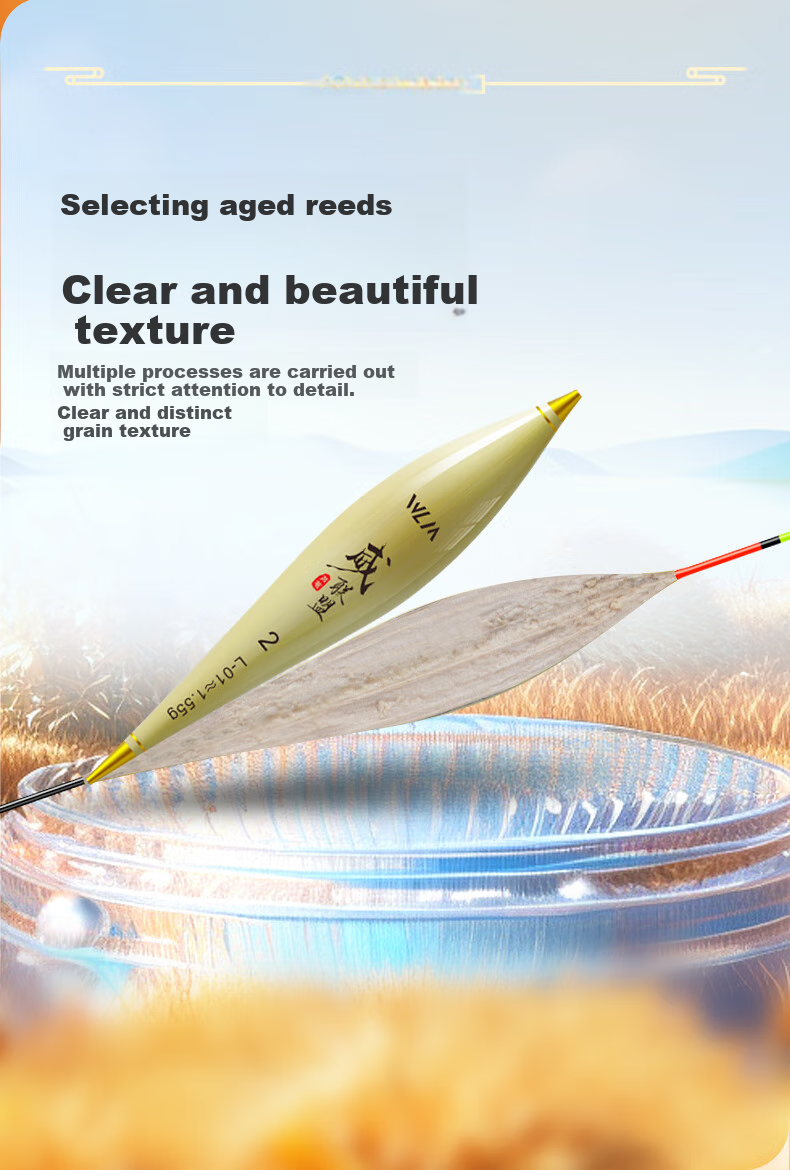 Weilianmeng L01 Shallow Water Crucian Carp No. 2 Float, Aged with Shell, Reed Float, Highly Sensitive, Eye-Catching Buoy, Fishing Tackle 3