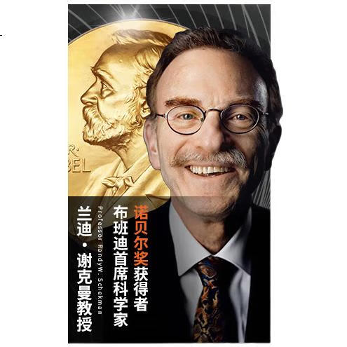 Подгузники-трусики для малышей