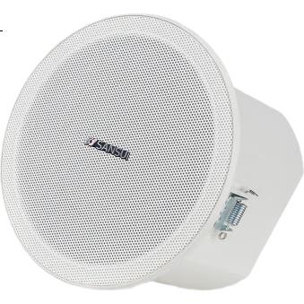 White Image 1