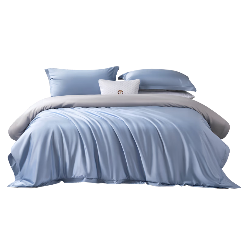 Fuanna 60S Long-Staple Cotton Solid Color 4-Piece Bedding Set 100% Cotton Sheet and Duvet Cover Double Extra Large 230×229cm Blue