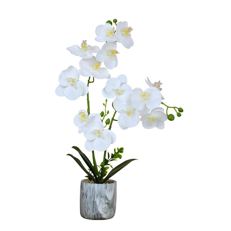 Qiju Yaji Artificial Butterfly Orchid Potted Plant 3-Branch 13-Flower White with Pot for Entryway Living Room Decoration 20190-2