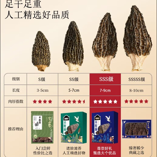 半山农羊肚菌50克7-9cm礼盒装云南山珍蘑菇特产北干货炖汤食材 长辈送礼