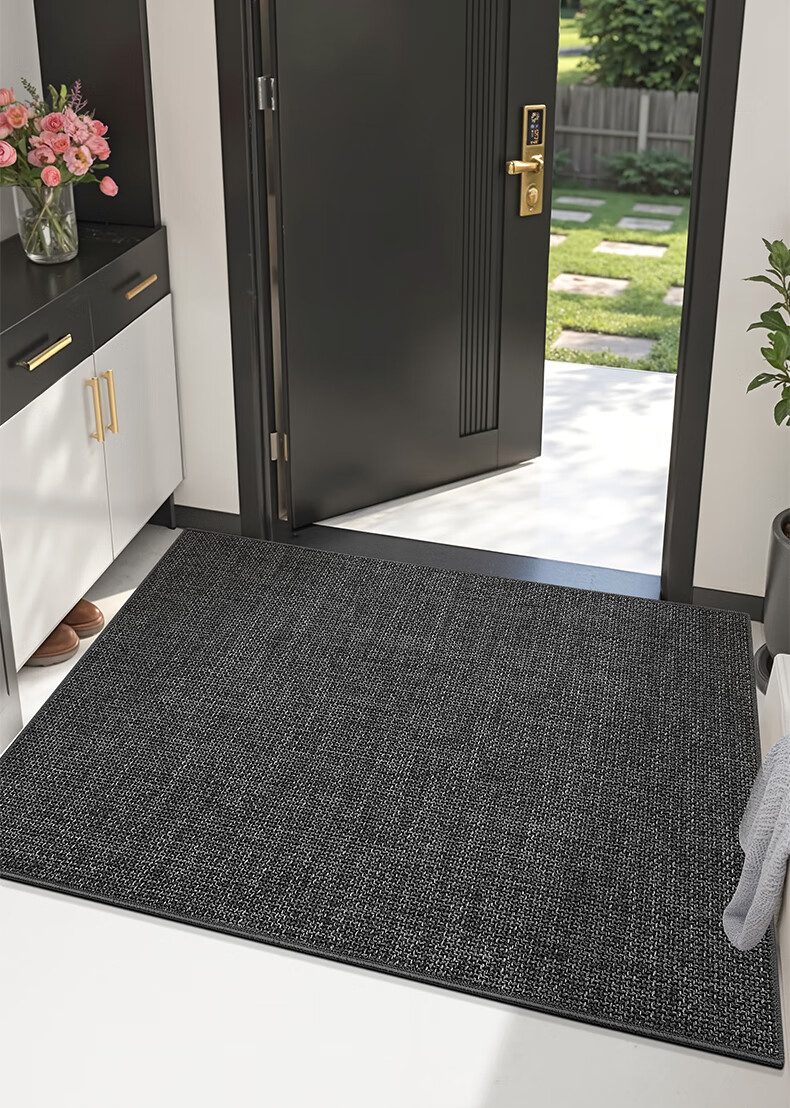 Dajiang Entrance Mat, Doorway Rug, Foyer Mat, Luxurious High-End Carpet for Entryway, 60x90cm 4