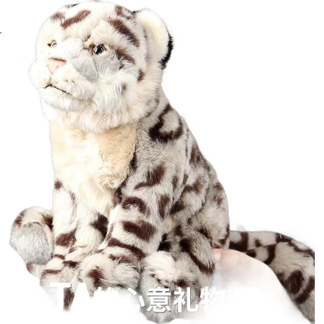 White Image 2