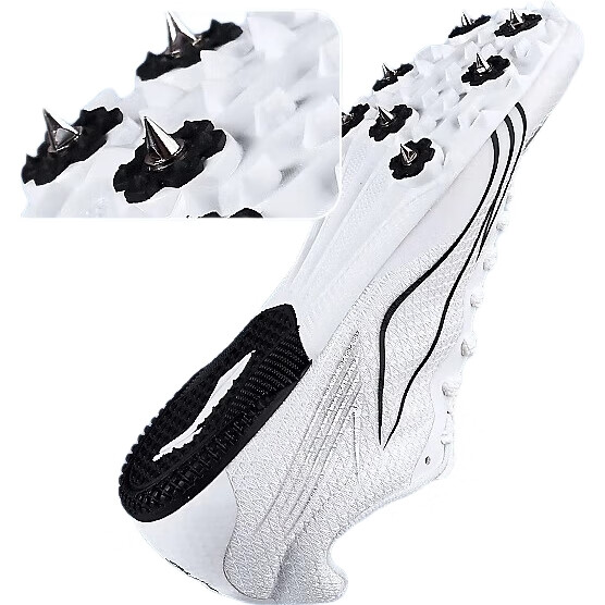 White Image 2