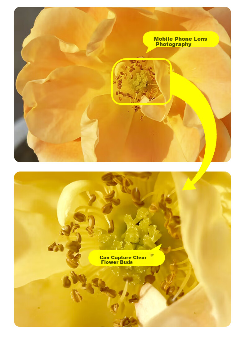 Kase Master-Level 100mm Lens Plus Dedicated Polarizing Filter for Smartphone Macro Lenses, High-Definition Shooting of Flowers And Plants, Fine Details, Micro Background Bokeh, Focusing on Subject Photography Accessories 6