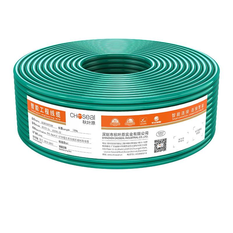 CHOOSEAL (CHOSEAL) Cat5e Ethernet Cable, Double-Shielded, Anti-Interference, Attenuation Reduction, Pure Copper Core, High-Speed, Eco-Friendly Green Network Cable, 100 Meters, QS2613XT100
