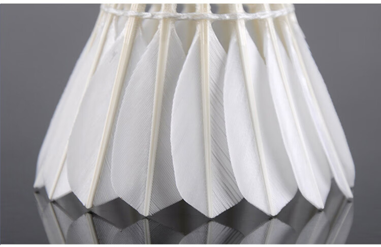 RSL Badminton Training Practice Shuttlecocks DTL-82, 12 Pieces Per Tube 6