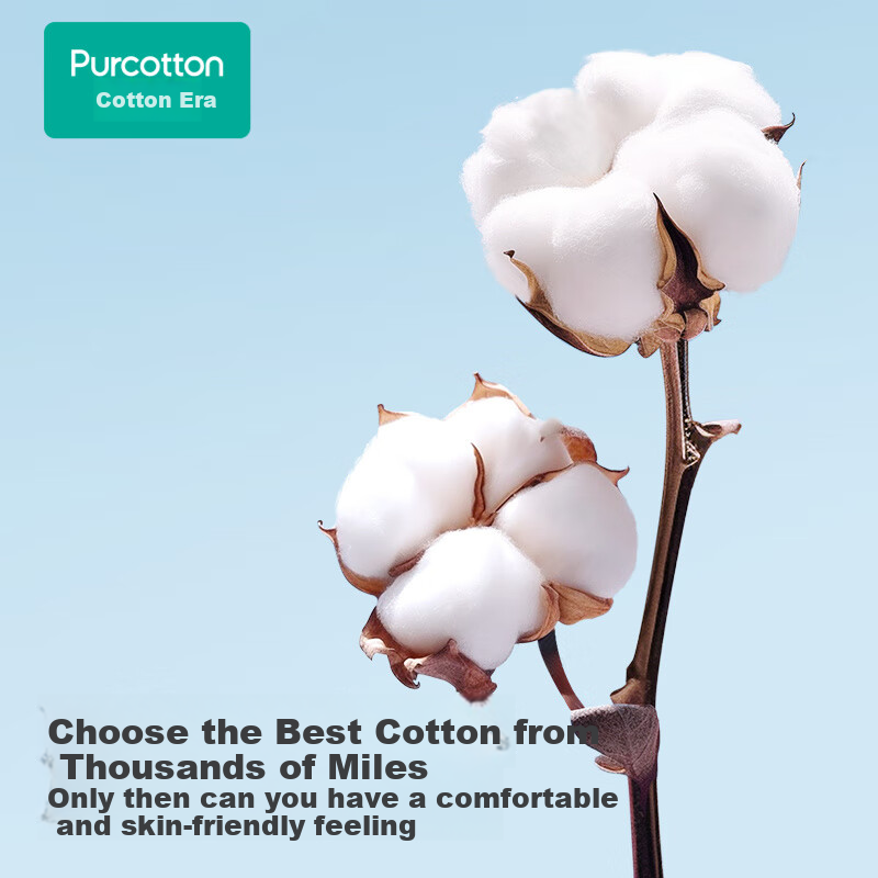 PurCotton -01264045