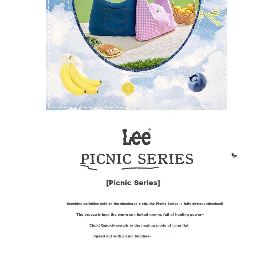 Lee Plaid Canvas Bag, Women's Handbag, Shoulder Bag, Versatile Tote, Casual Reversible Bag, Gift, Birthday Present 2