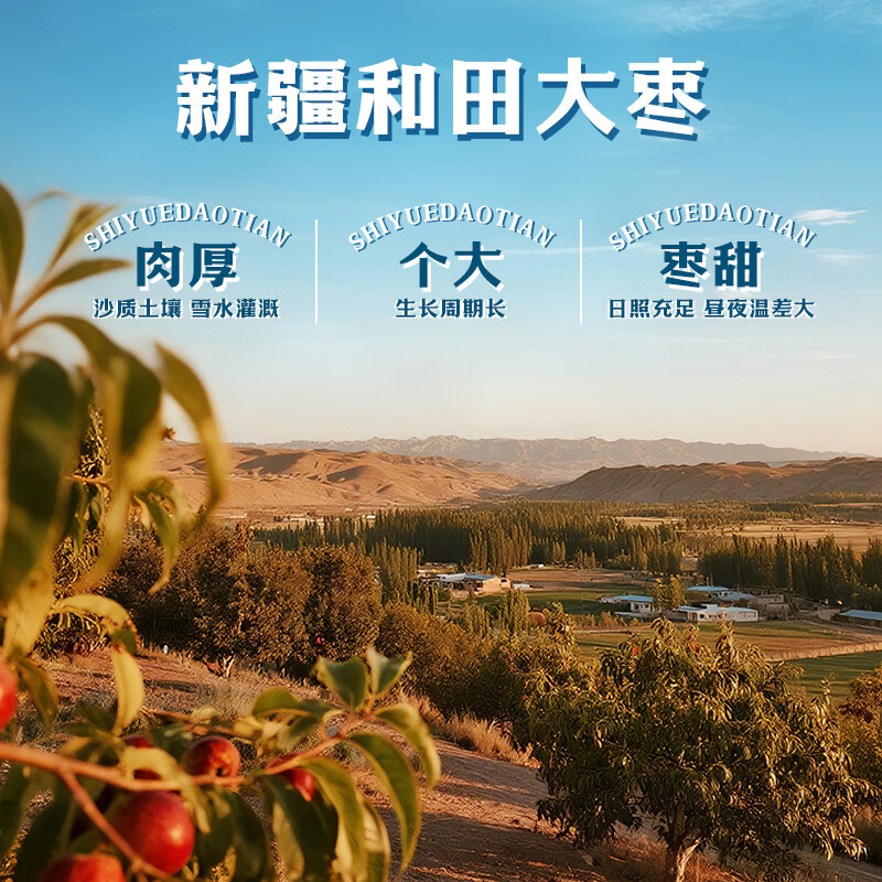 十月稻田 新疆红枣 500g 和田骏枣大枣 休闲零食 蜜饯果干 滋补八宝粥