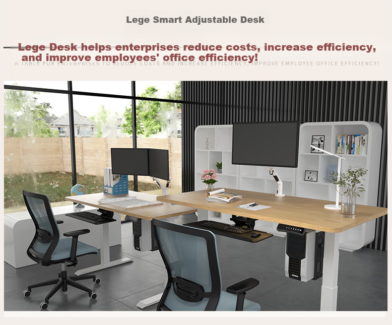 Loctek Height Adjustable Desk, Computer Desk, Gaming Standing Desk, Office Study Desk E5-N Gray Wood Grain Color 1.4M 3