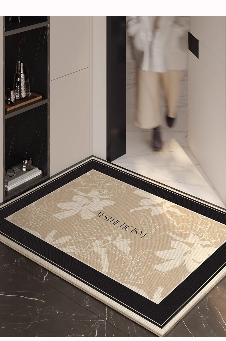 Xinglianxin Entrance Door Mat 2025 New Model Dirt-Resistant Wash-Free Home Floor Mat 60X90cm 18