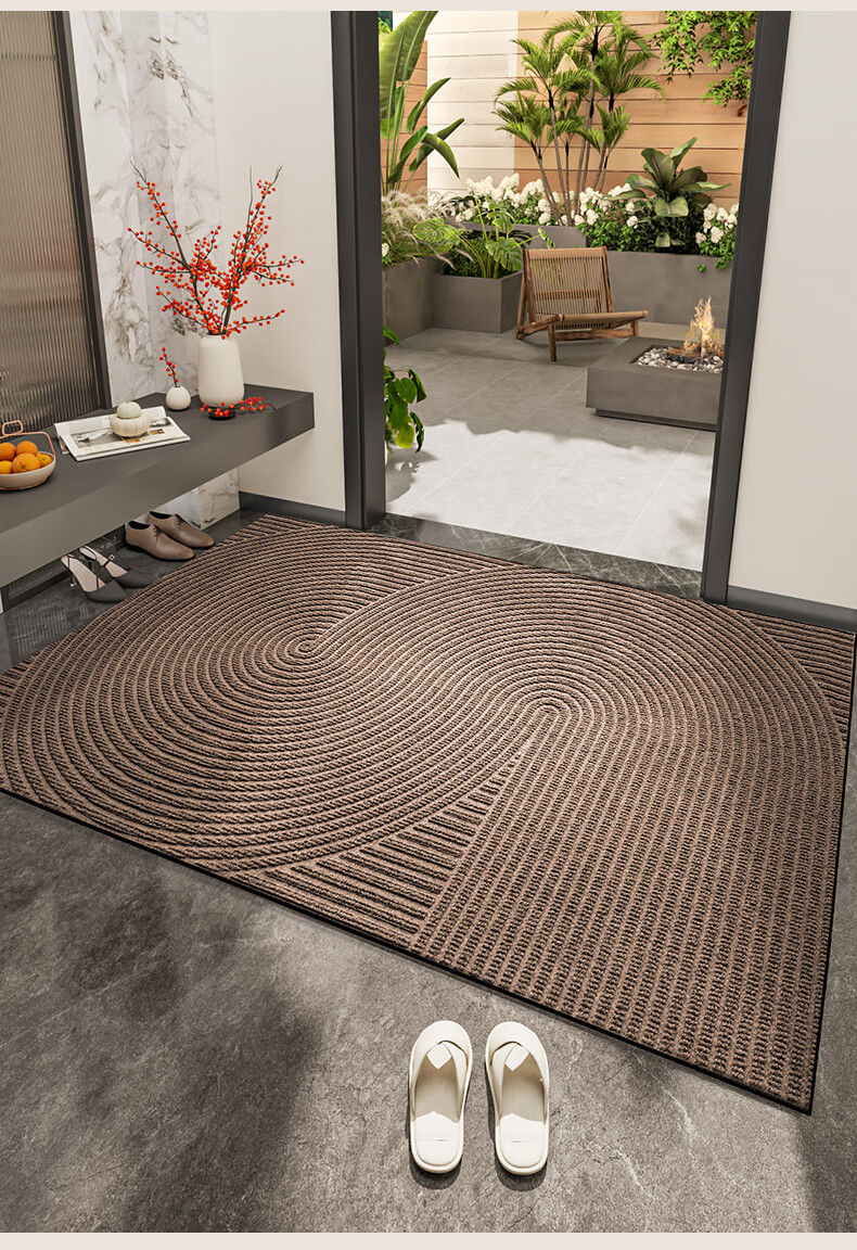 DeXi Entrance Mat, Doorway Mat, Foot Mat, 2025 New Style Doormat, Foyer Carpet, Entrance Floor Mat, 45x75cm 1