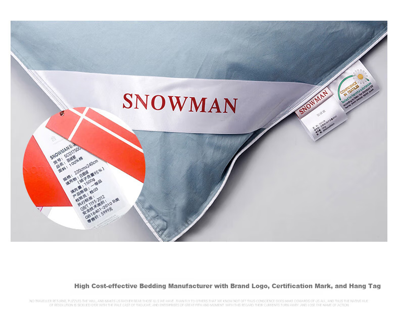 Sinuoman High-Quality 100% Imported 95% White Goose Down Duvet Insert, Comforter for Air Conditioning And Heating, 2.2*2.4m, 320g Filling, Gray 27