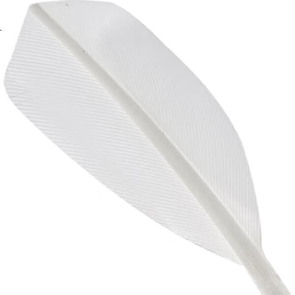 White Image 3