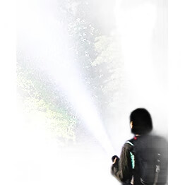 White Image 1