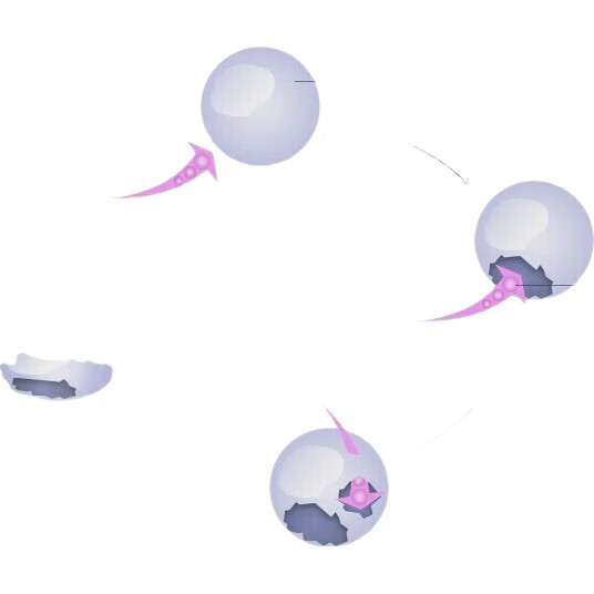 White Image 2