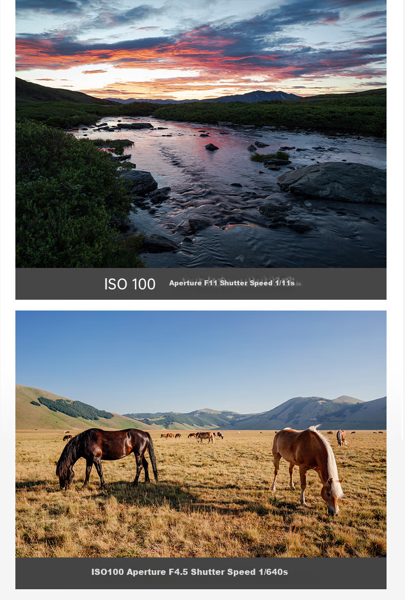 SIGMA Art 24mm F1.4 DG DN Full-Frame Mirrorless Large Aperture Wide-Angle Prime Lens for Landscapes, Starry Nights And Night Scenes (L-Mount) 9