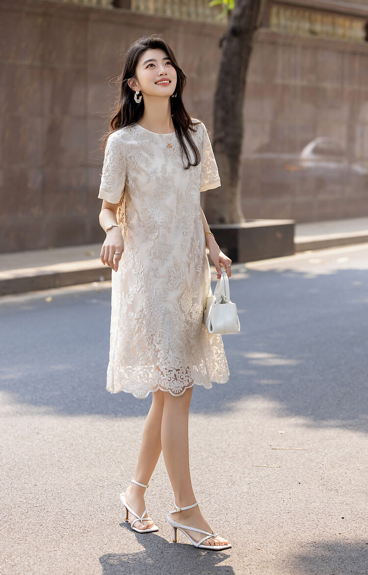 Demana French Charmer Summer Glossy Delicate Lace Embroidered Jacquard Short Sleeve Straight Mid-Length Women's Dress 14