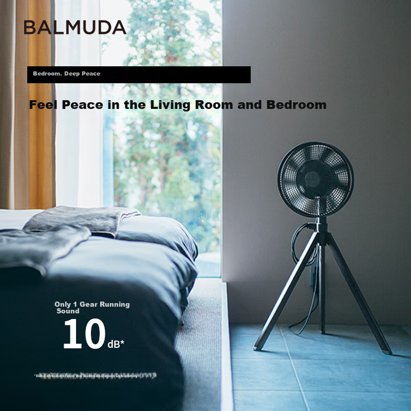 BALMUDA Fruit Ridge Air Circulation Fan, Floor Fan, Desktop Quiet Bedroom Fan, DC Inverter, First-Class Energy Efficiency GreenFan Studio White And Black, AGR01CN-WK