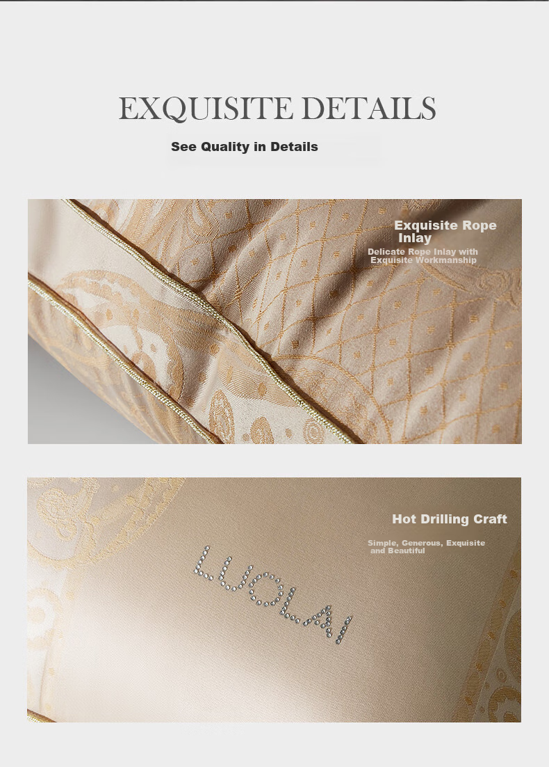 LUOLAI Home Textiles Goose Down Pillow, Imported from Poland, 95% White Goose Down, Antibacterial Hotel Seven-Star Pillow Core - Medium Size 13