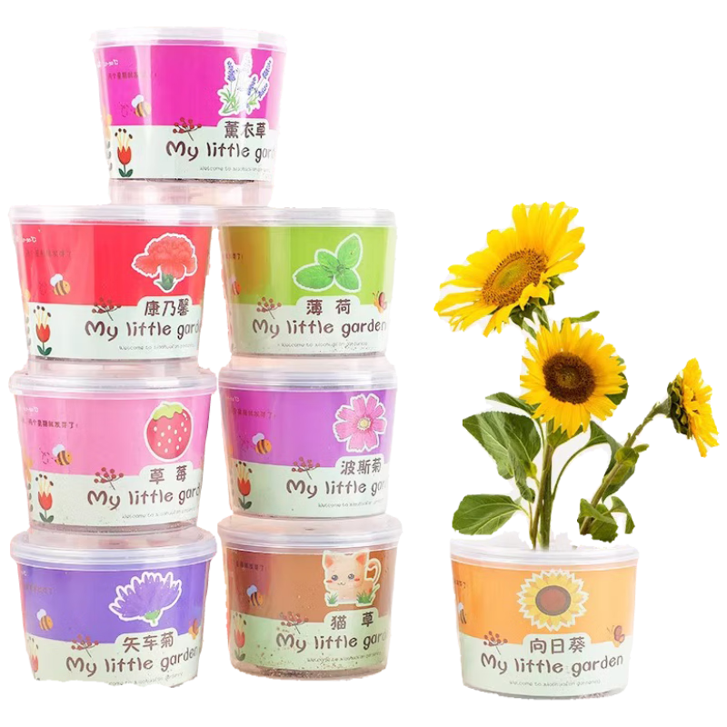 Lankupa Seed Plant Mini Potted Blind Box Toy, Children's Gift, Student Prize, Kindergarten Class Sharing Gift