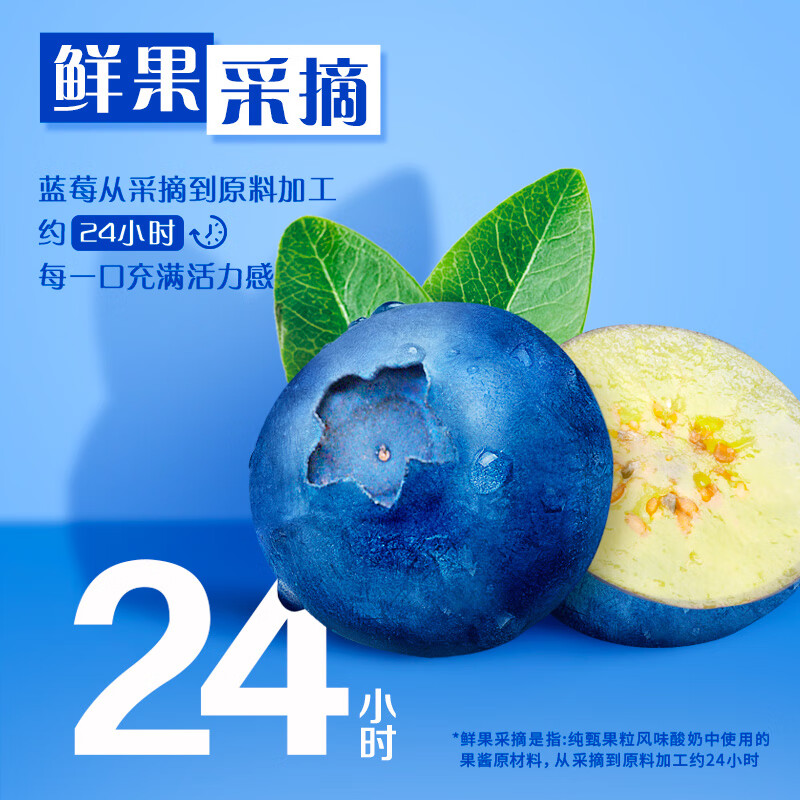 蒙牛纯甄蓝莓果粒风味酸奶200g*10盒 送礼盒装