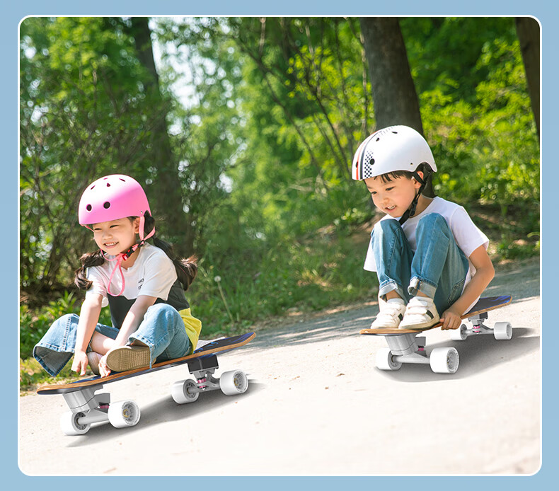 SWAY Land Surfing Professional Skateboard Four-Wheel Adult Fish Board No-Push Street Cruiser Commuter Children's Beginner Road Surfing Board 23