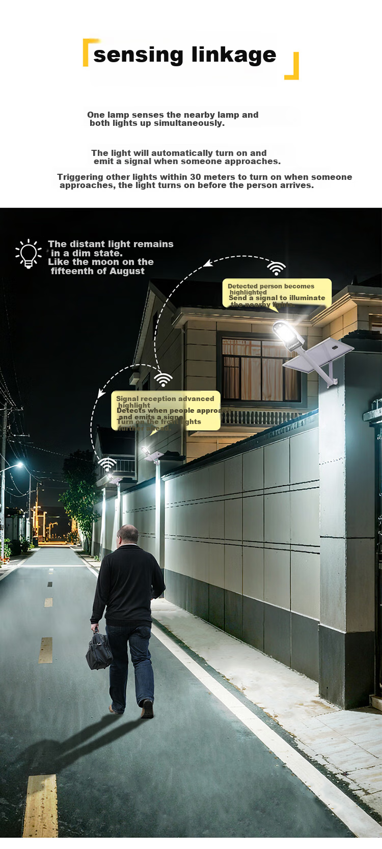 Intelamp Solar Light, Outdoor Yard Street Lamp, Home Garden Light, Floodlight, New Rural Lighting, Automatic Light Switches on at Night 12