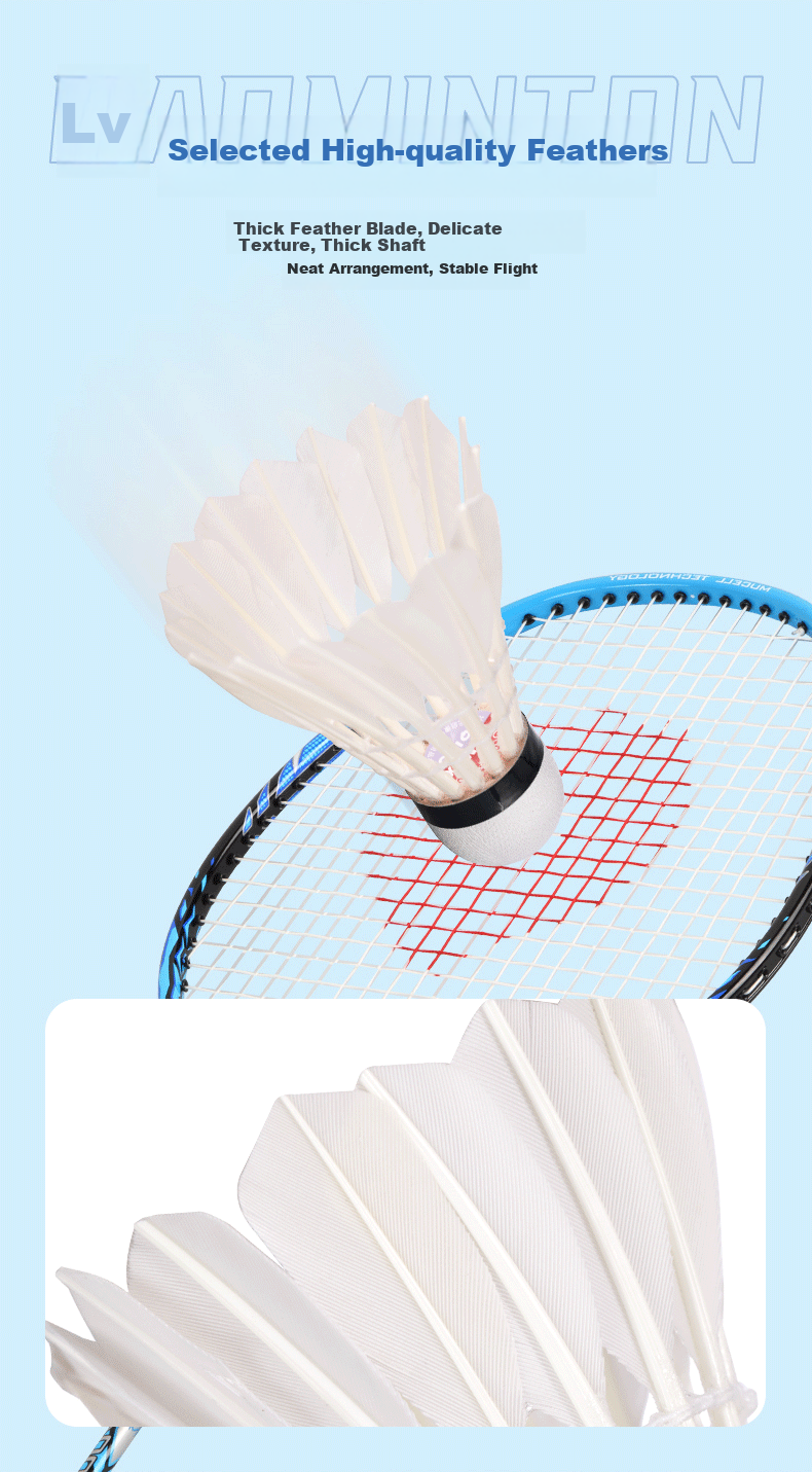 QIAO Goose Feather Badminton Training Durable Shuttlecocks AS15ew 12-Pack Tube 3