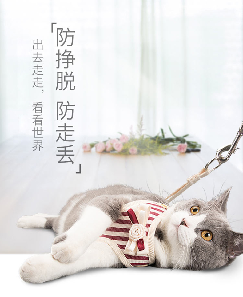 韩版牵引绳-(1).jpg
