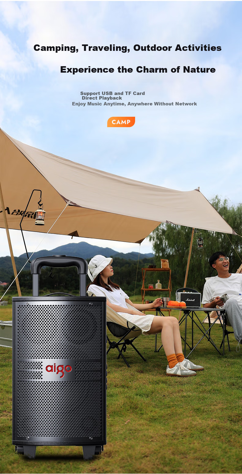 Aiguozhe S308, 8-Inch Square Dance Speaker, Outdoor High-Volume Bluetooth Trolley Speaker, High-Power Portable Mobile Performance Karaoke Subwoofer, Street Vending Loudspeaker, Single Microphone 9