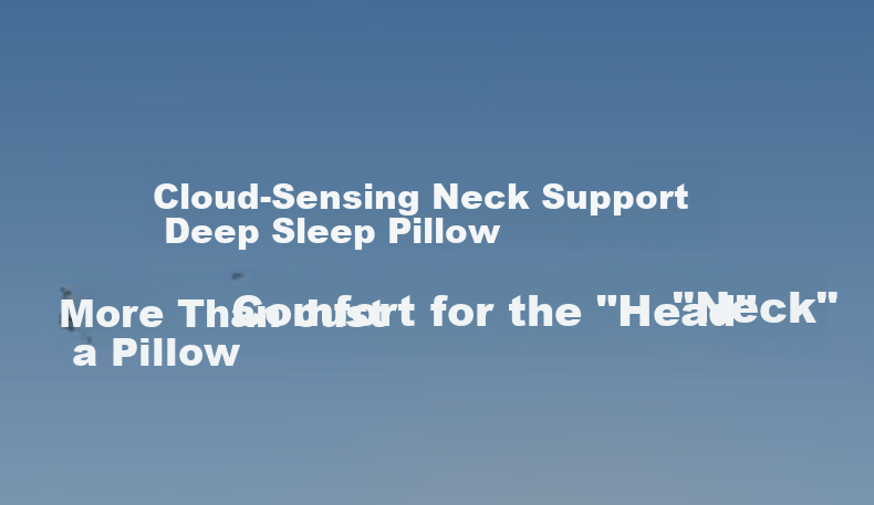 Hengyuanxiang Memory Foam Pillow, Class A Antibacterial, Zero Pressure Deep Sleep Pillow, Neck Protection, Cloud-Like SPA Slow Rebound Memory Cotton Pillow, Deep Sleep Pillow 2