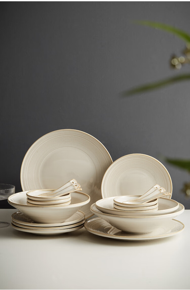 ZEROKY CLAN Ceramic Dinnerware Set for Home Use, High-End Tableware Including Bowls And Plates, Housewarming Gift, 17-Piece Set with Wire Pattern Design for 2 People 1