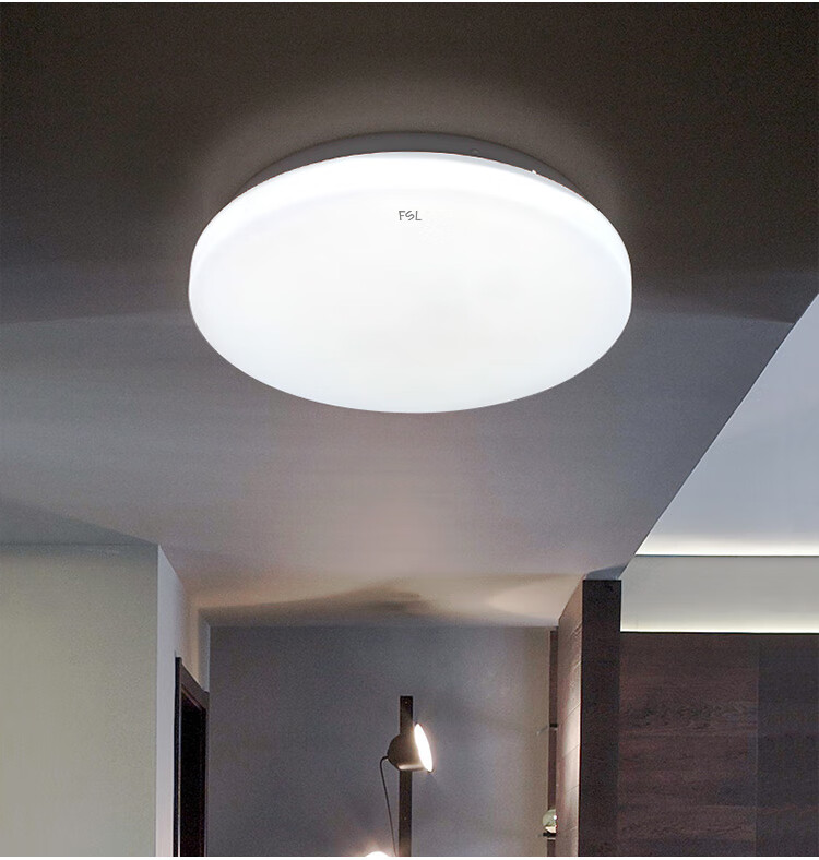 Foshanzhaoming LED Ceiling Light, Motion Sensor Hallway Corridor Light, Balcony Lamp, Entrance Lighting Fixture, 25W 4