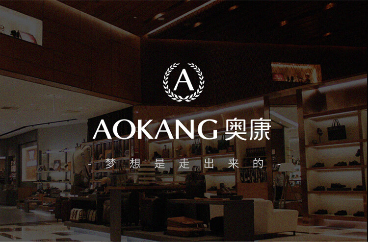 Aokang Women's Bag Trendy Underarm Shoulder Bag Light Luxury Tote Birthday Gift for Women on March 8th Women's Day Gift for Girlfriend Wife 1