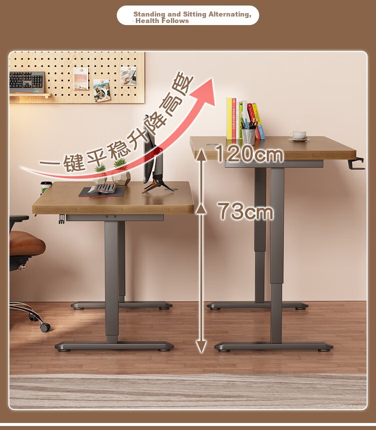 AEY Electric Height Adjustable Desk Computer Desk Stand-Up Gaming Desk Study Desk Office Desk 1.2*0.6m 4