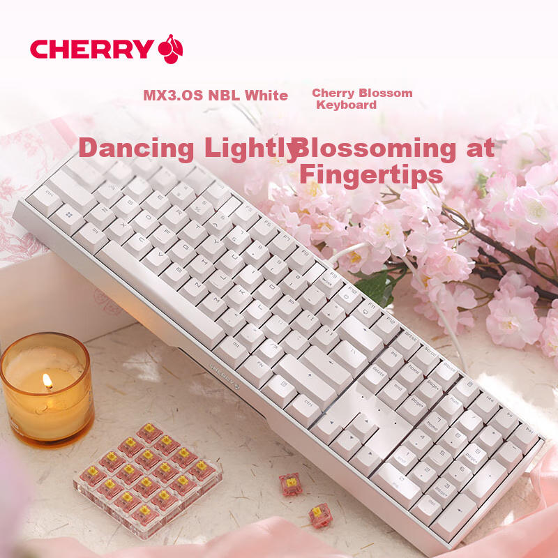 CHERRY MX3-01305855