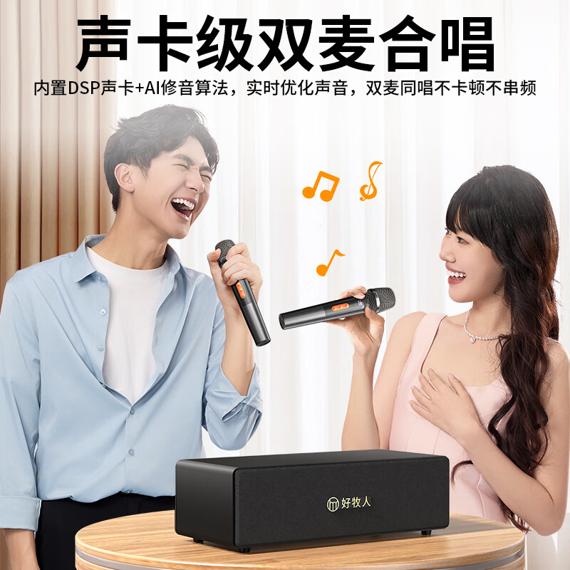 Haomuren Karaoke Sound System, Home KTV Sound Package, All-In Karaoke Machine for Singing at Home, Karaoke TV, Microphone, Karaoke Machine with Song Selection Function, Wireless Microphone, Bluetooth Speaker, Amplifier