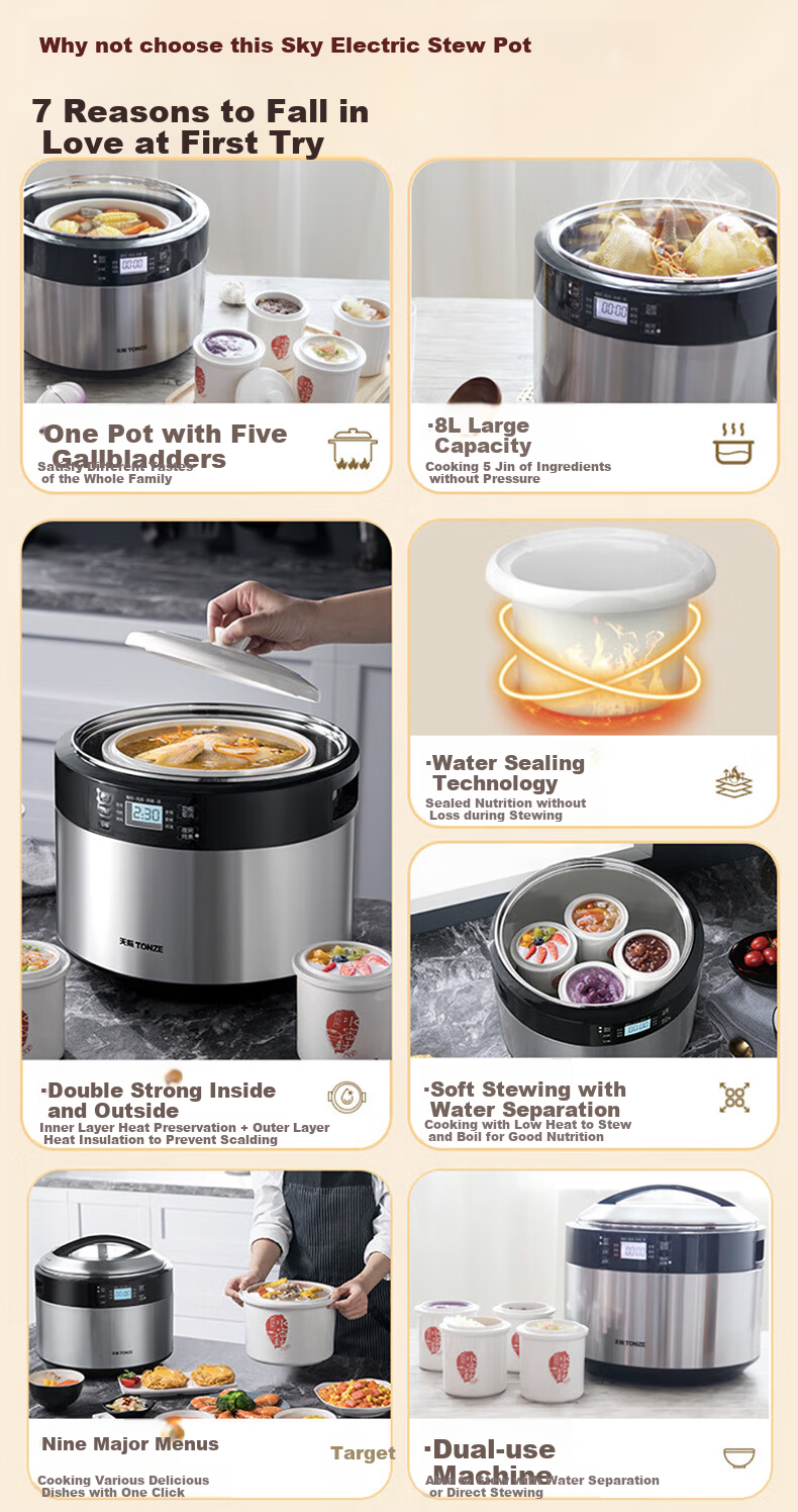TONZE Electric Stew Pot, Electric Casserole, Electric Clay Pot, Double Boiler, Soup Maker, Porridge Cooker, Bird's Nest Health Pot, Baby Food Cooker, Stainless Steel Multifunctional All-In 35EG 3.5L 1